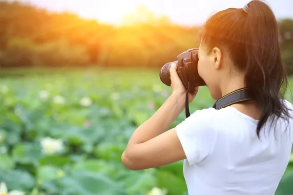 Photographer taking photo of blooming lotus — Stock Photo, Image