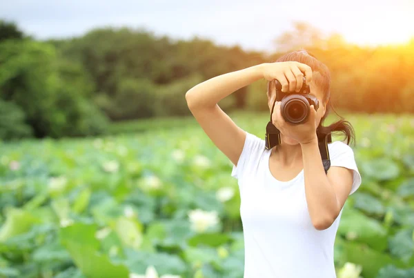 Fotograf ta foto av blommande lotus — Stockfoto