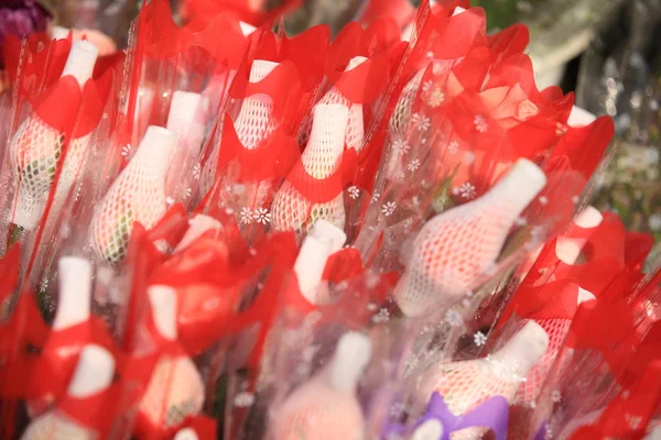 Bunte Lilienblüten — Stockfoto