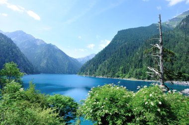 Jiuzhaigou national park clipart