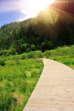 yürüyüş parkurun jiuzhaigou Milli Parkı