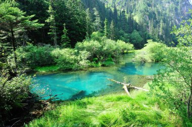 Jiuzhaigou national park clipart