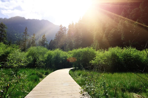 Sendero en el parque nacional de jiuzhaigou — Foto de Stock