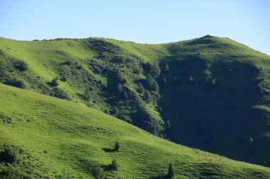 Yüksek irtifa çayırlık dağ manzarası
