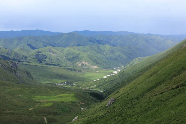 Wysoka Wysokość Łąki Krajobraz Górski — Zdjęcie stockowe