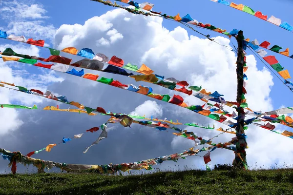 草原上的西藏祈祷旗 — 图库照片