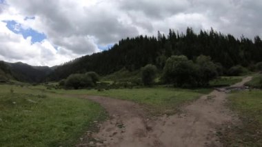 Yeşil ağaçlar ve dağlar arasında giden araba.