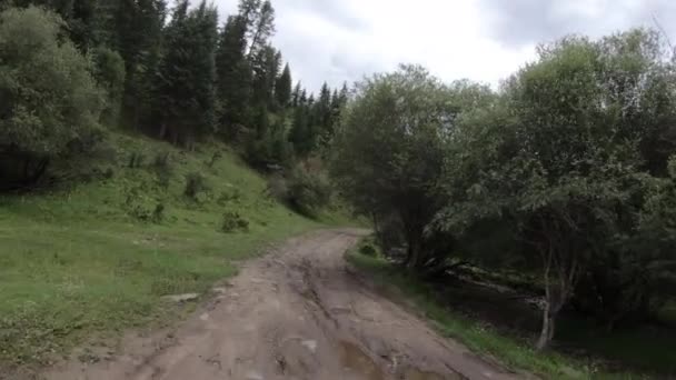 Автомобіль Їде Шляху Буряка Між Зеленими Деревами Горами — стокове відео