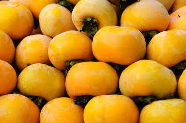 Sonbaharda hurma hasat et.