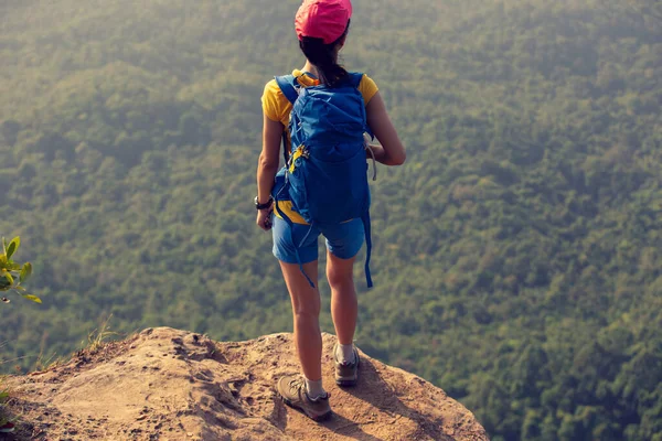 Caminhante Mulher Sucesso Desfrutar Vista Topo Borda Penhasco Montanha — Fotografia de Stock