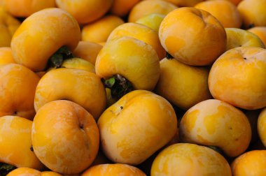 Sonbaharda hurma hasat et.