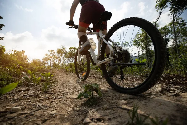 Radfahrerin Radelte Auf Waldweg — Stockfoto