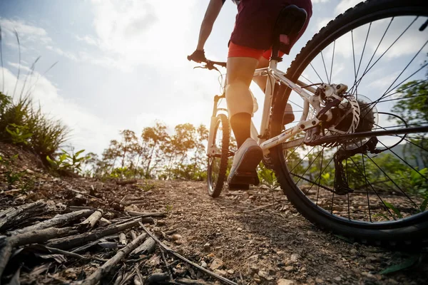 Woman Cyclist Cycling Mountain Top Forest Trail — Stock Photo, Image