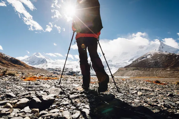 Woman Backpacker Hiking Winter High Altitude Mountains — Stock Photo, Image