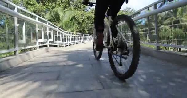 Radfahrerin Fährt Mit Fahrrad Auf Brücke — Stockvideo