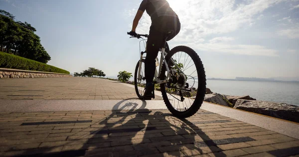 Велосипед Узбережжі Сходу Сонця — стокове фото