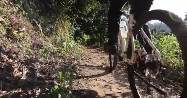 骑自行车的女骑手在树林里 — 图库视频影像