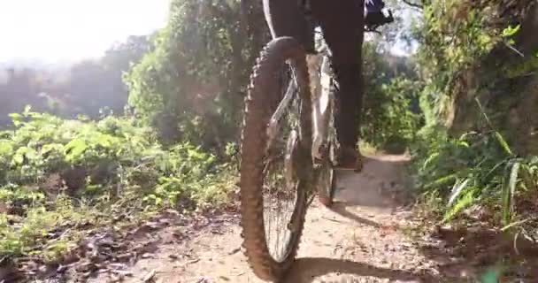 Radfahrerin Mit Fahrrad Wald — Stockvideo