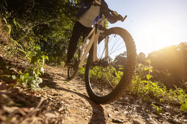 美しい日の出の森の中で自転車に乗る女性 — ストック写真