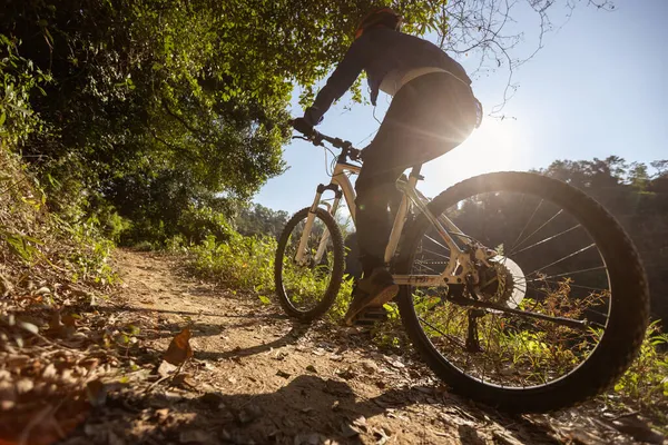 Donna Sella Alla Bicicletta Nella Bellissima Foresta Alba — Foto Stock