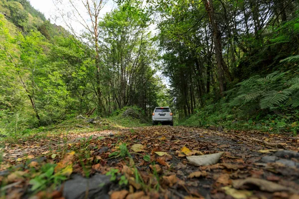 在高山森林中驾驶越野车 — 图库照片