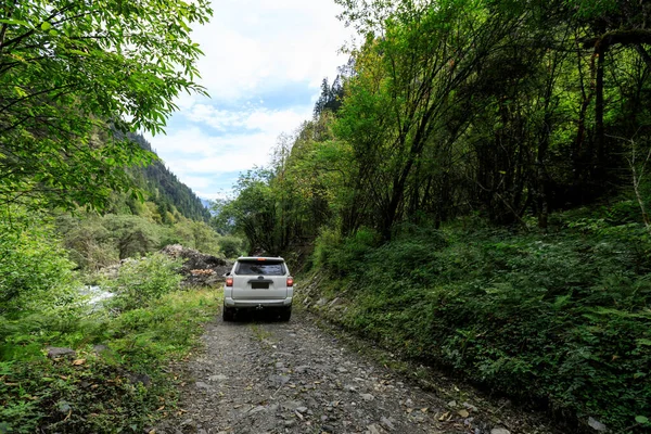 Vezetés Road Car Magas Tengerszint Feletti Magasságban Hegyi Erdő — Stock Fotó