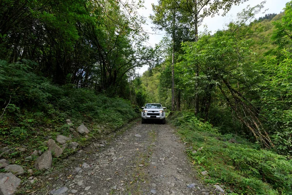 在高山森林驾驶越野车 — 图库照片