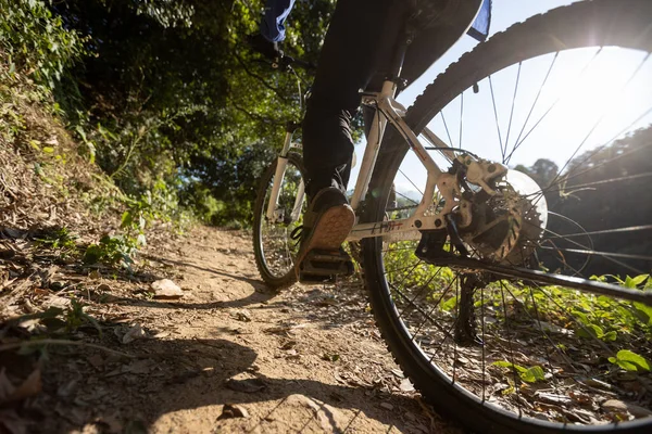Жінка Їде Велосипеді Східному Лісі — стокове фото