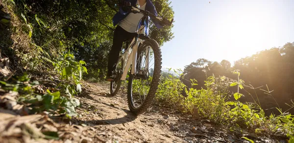 Frau Fährt Fahrrad Sonnenaufgangswald — Stockfoto