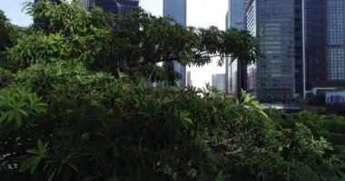 Shenzhen şehrindeki hava manzarası, Çin