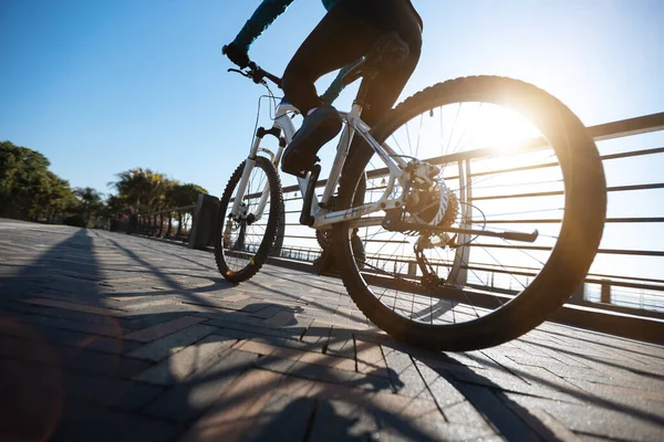 Montar Bicicleta Camino Costa — Foto de Stock