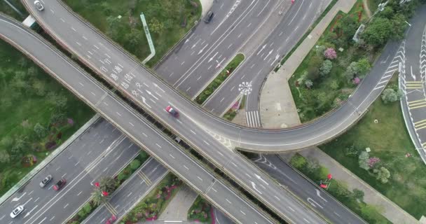 Top View City Roads Greenery Transport — Stock Video