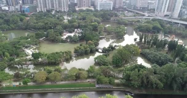 Vista Moderna Del Paesaggio Nella Città Shenzhen Cina — Video Stock