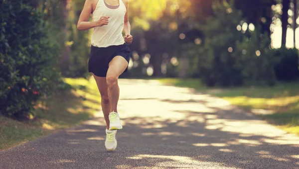 Mujer Fitness Corriendo Sendero Soleado Parque Tropical —  Fotos de Stock