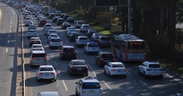 Samochody Autostradzie Drodze Miejskiej — Wideo stockowe