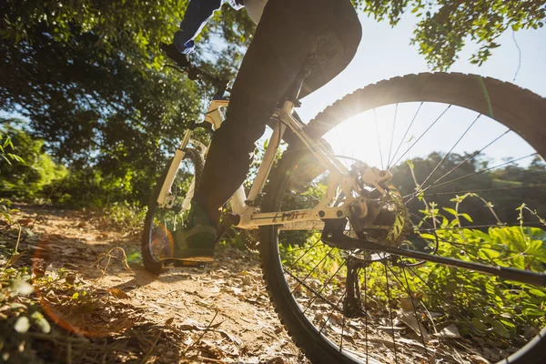 Gündoğumu Orman Yolunda Bisiklet Sürmek — Stok fotoğraf