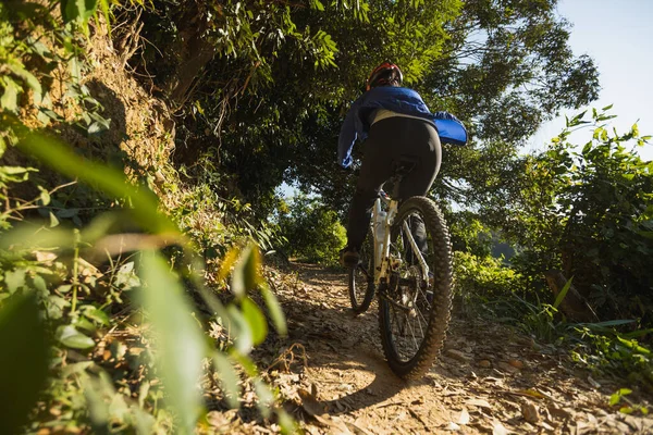 Cycling Sunrise Forest Trail — Stock Photo, Image