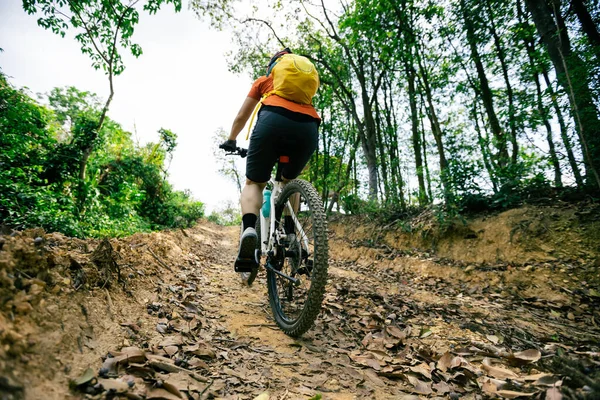 Mulher Andar Bicicleta Topo Montanha Trilha Florestal — Fotografia de Stock