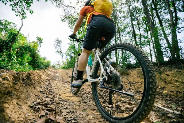 Woman riding bike on mountain top forest trail