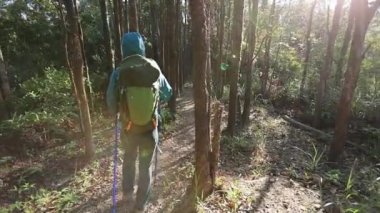 Sırt çantalı genç bir kadın ormanda yürüyüş yapıyor.