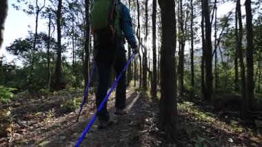 Sırt çantalı genç bir kadın ormanda yürüyüş yapıyor.