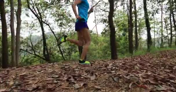 Kadın Koşucu Orman Yolunda Koşuyor — Stok video