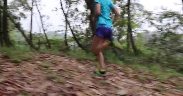 Biegaczka Biegająca Leśnym Szlaku — Wideo stockowe
