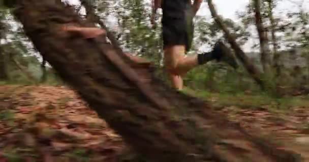 Běžkyně Běžící Lesní Cestě — Stock video