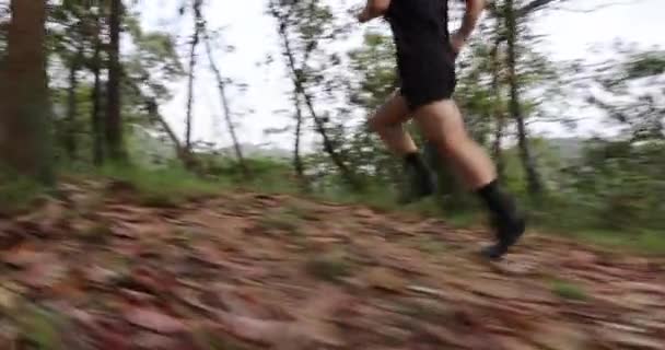 Corredor Mujer Corriendo Por Sendero Forestal — Vídeo de stock