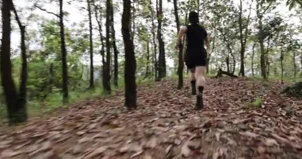 Corredor Mujer Corriendo Por Sendero Forestal — Vídeo de stock