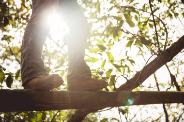 Ormanda düşen bir ağaç gövdesinde yürüyen bir yürüyüşçü.
