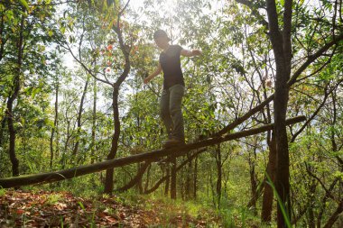 Ormanda düşen bir ağaç gövdesinde yürüyen bir yürüyüşçü.