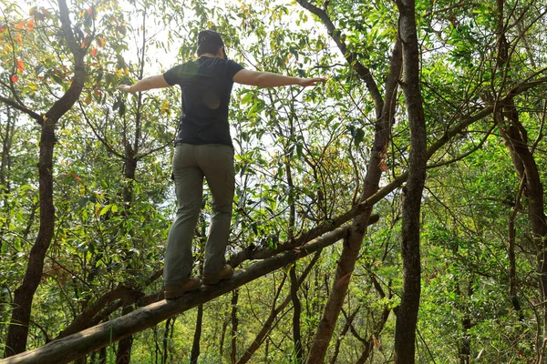 Турист Идущий Упавшему Стволу Дерева Лесу — стоковое фото