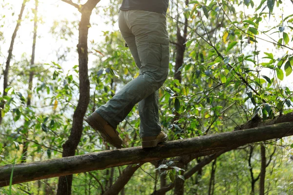 Escursionista Che Cammina Tronco Albero Caduto Nella Foresta — Foto Stock
